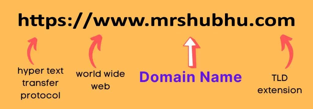 Domain name details
